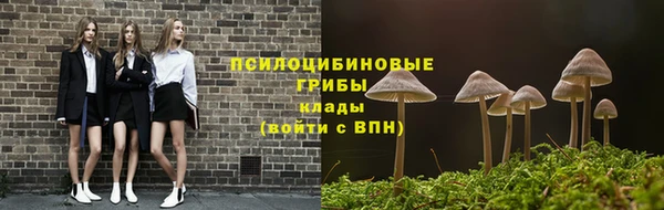прущий лед Алексин