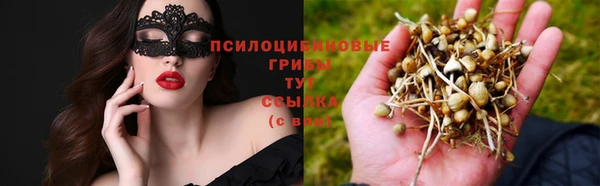 прущий лед Алексин