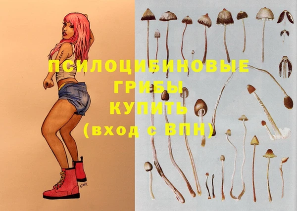 Альфа ПВП Абдулино
