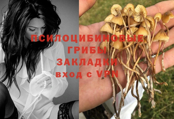 прущий лед Алексин
